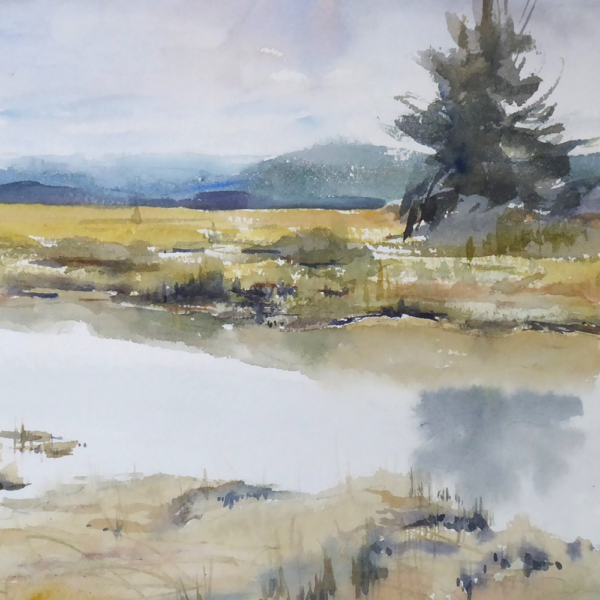 Coastal Wetland Scenes in Watercolor with Robin Berry