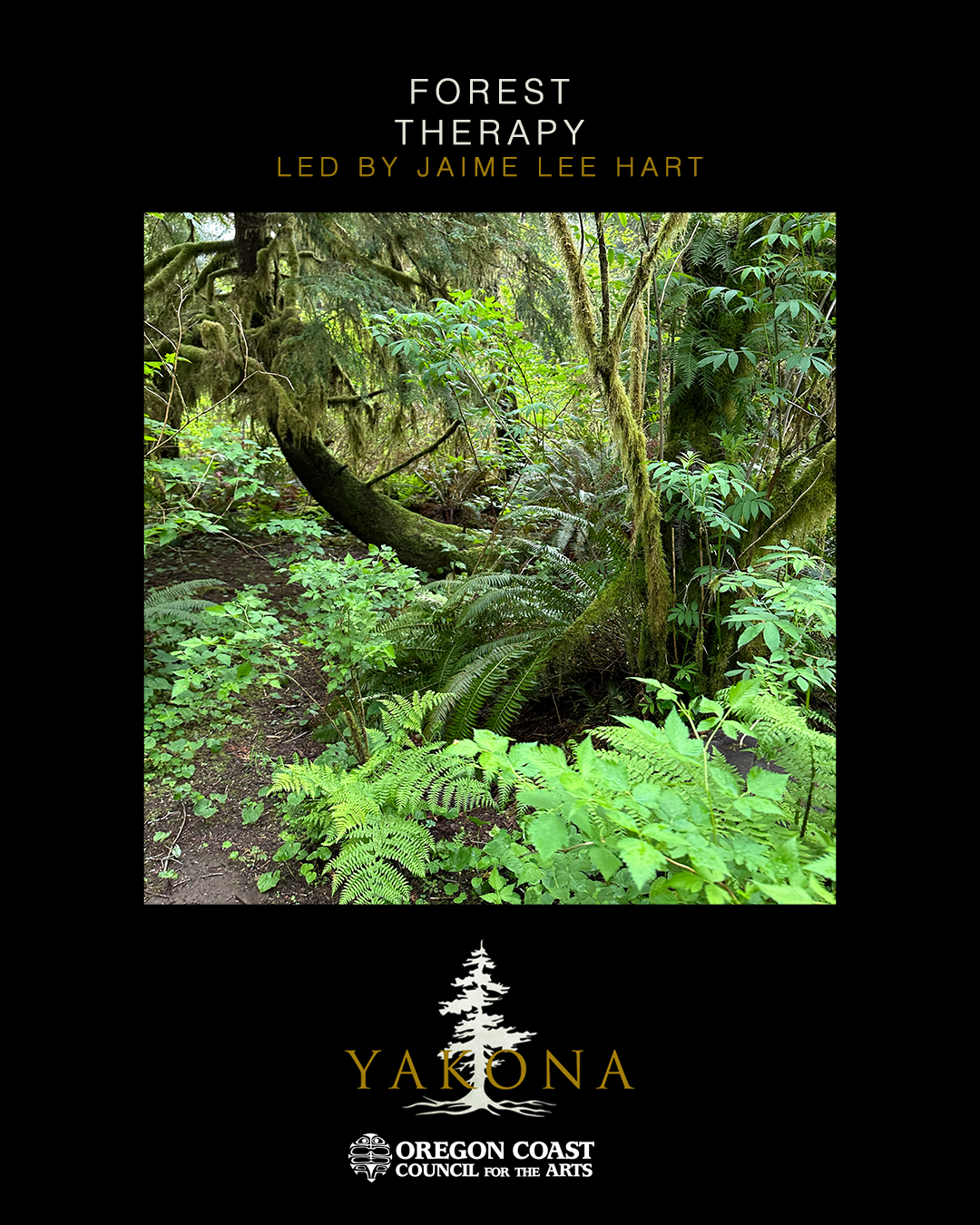 Poster for Yakona - Forest Therapy