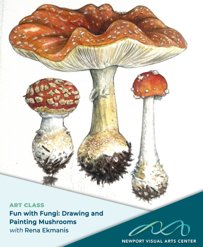 Fun with Fungi - Drawing and Painting Mushrooms