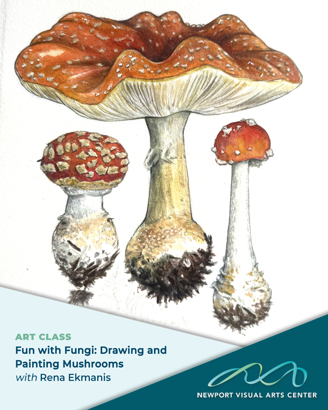 Fun with Fungi - Drawing and Painting Mushrooms