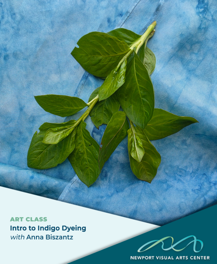 Intro to Indigo Dyeing
