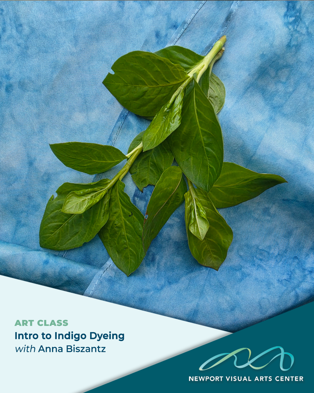 Intro to Indigo Dyeing